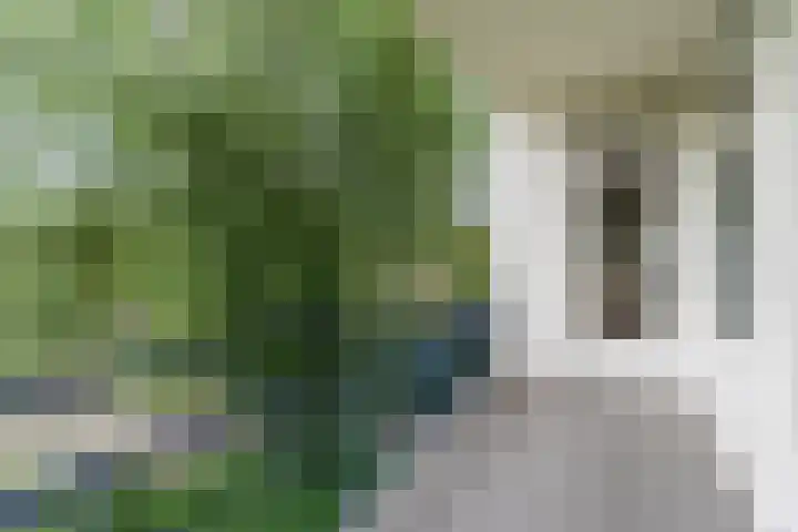 Welschapsedijk 41 Eindhoven thumbnail 30