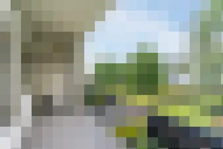 Welschapsedijk 41 Eindhoven thumbnail 31