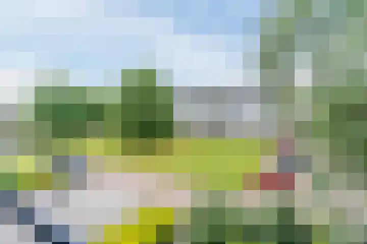 Welschapsedijk 41 Eindhoven thumbnail 32