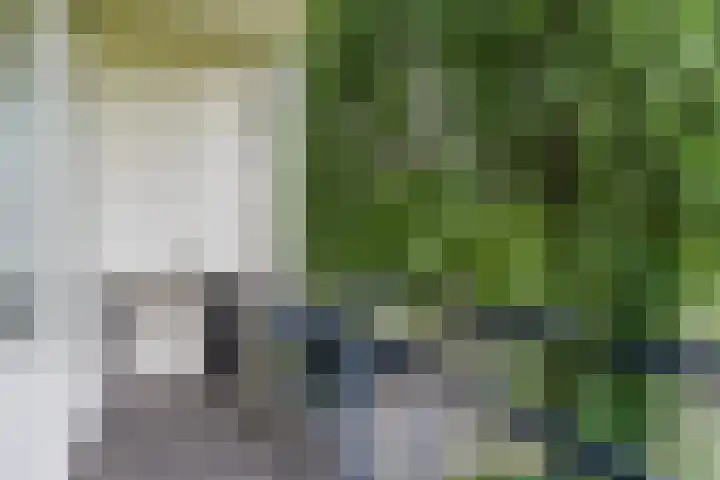 Welschapsedijk 41 Eindhoven thumbnail 33
