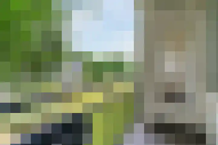 Welschapsedijk 41 Eindhoven thumbnail 34