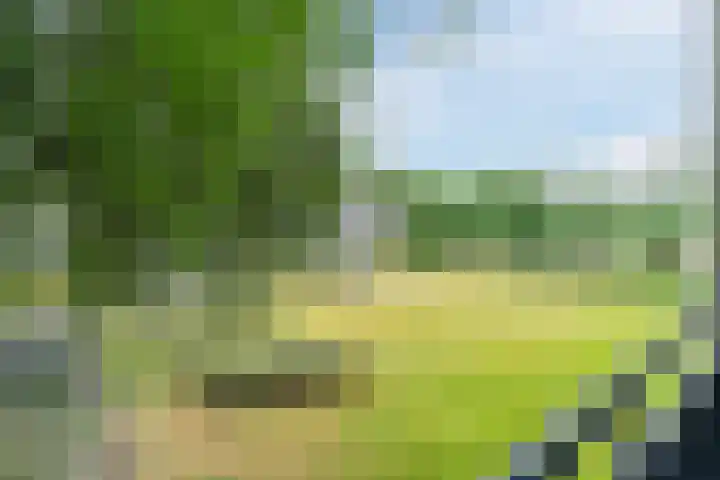 Welschapsedijk 41 Eindhoven thumbnail 35