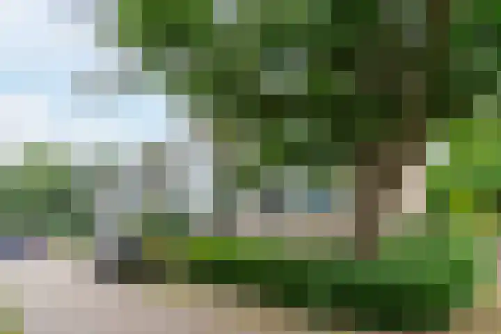 Welschapsedijk 41 Eindhoven thumbnail 6