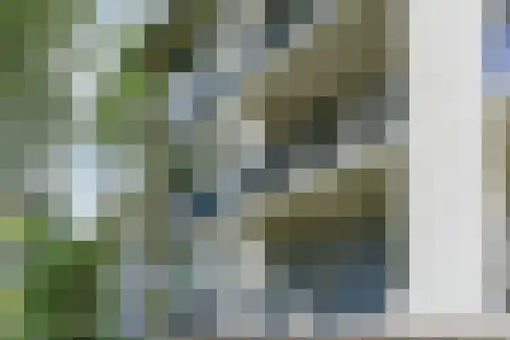 Welschapsedijk 41 Eindhoven thumbnail 8