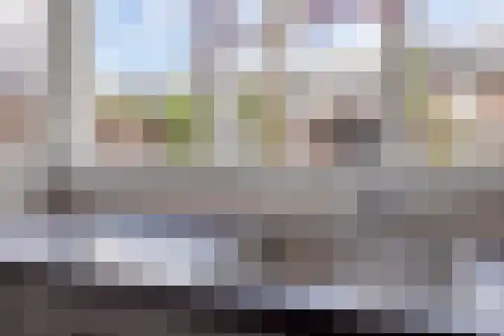 Welschapsedijk 42 Eindhoven thumbnail 10