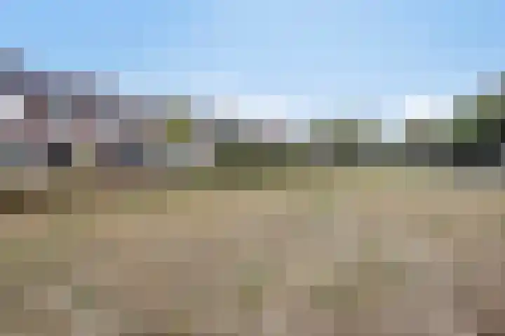 Welschapsedijk 42 Eindhoven thumbnail 27