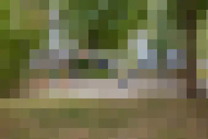Welschapsedijk 42 Eindhoven thumbnail 28