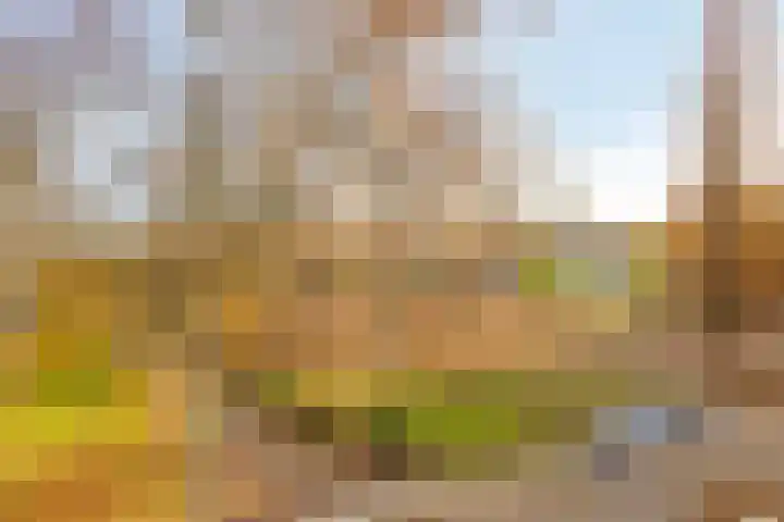 Welschapsedijk 56 Eindhoven thumbnail 24
