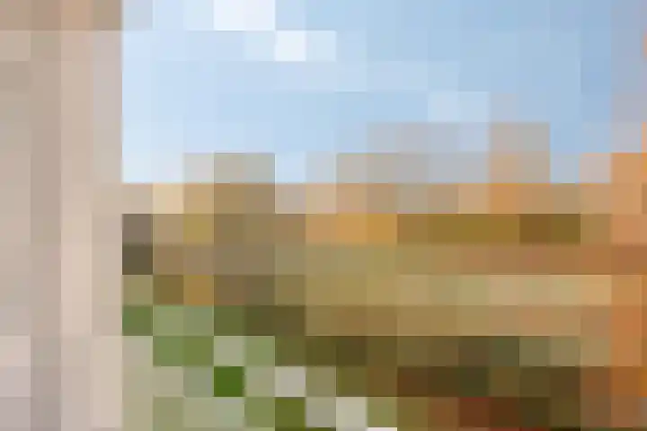 Welschapsedijk 56 Eindhoven thumbnail 25