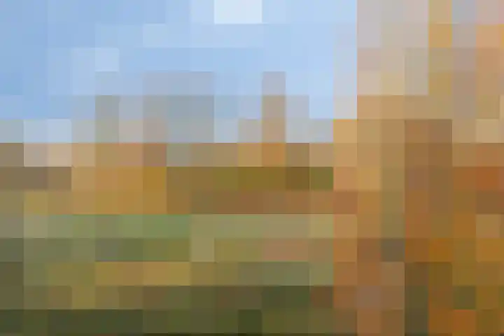Welschapsedijk 56 Eindhoven thumbnail 26