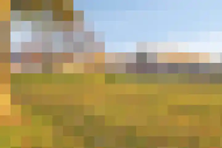 Welschapsedijk 56 Eindhoven thumbnail 28
