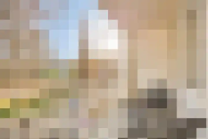 Welschapsedijk 56 Eindhoven thumbnail 4