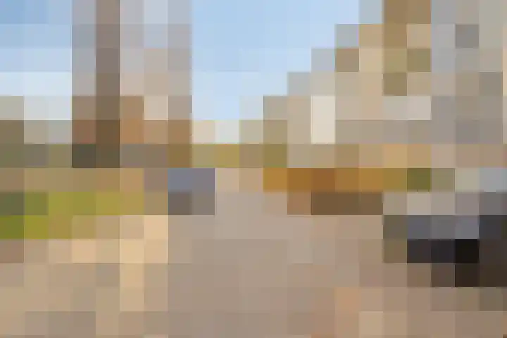 Welschapsedijk 56 Eindhoven thumbnail 7