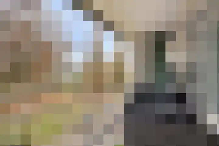 Welschapsedijk 60 Eindhoven thumbnail 6