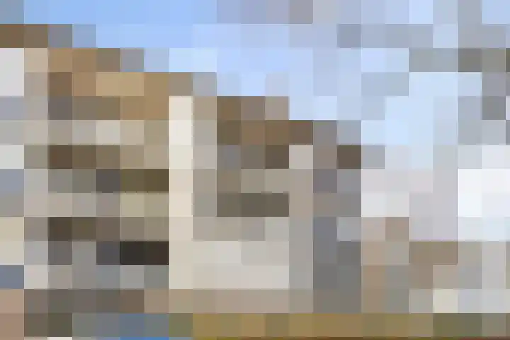 Welschapsedijk 60 Eindhoven thumbnail 7