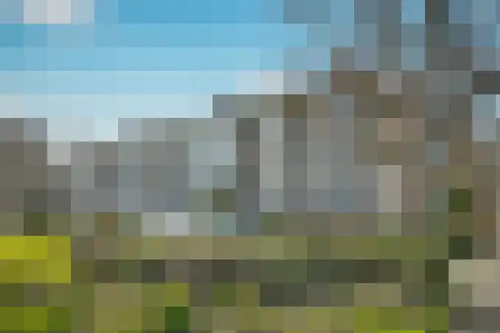 Welschapsedijk 61 Eindhoven thumbnail 5
