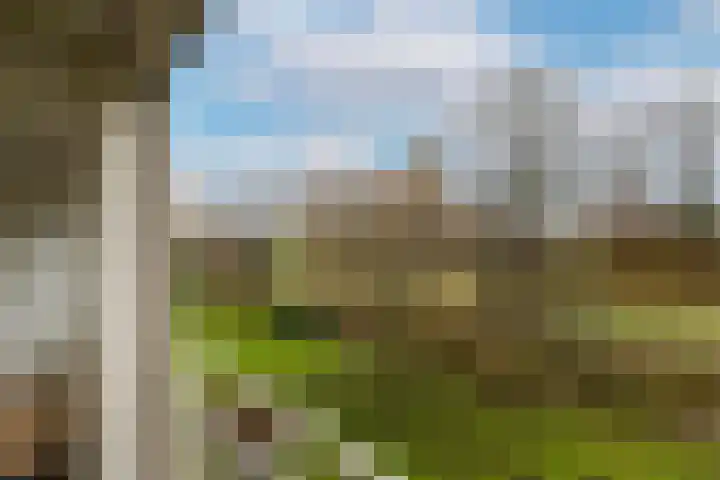Welschapsedijk 64 Eindhoven thumbnail 31