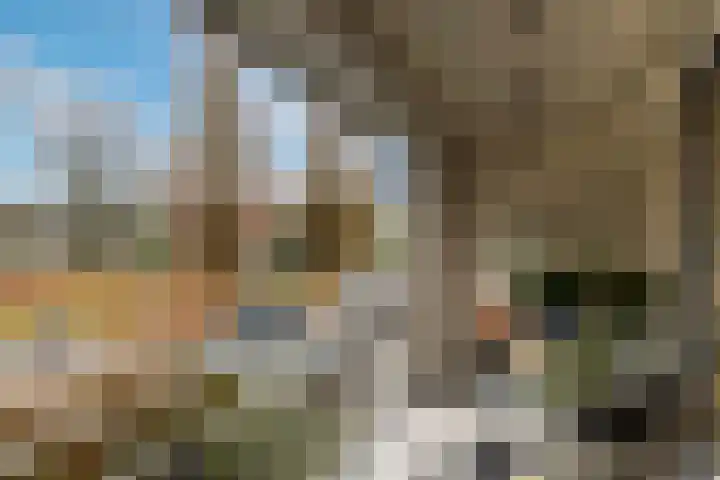 Welschapsedijk 64 Eindhoven thumbnail 33