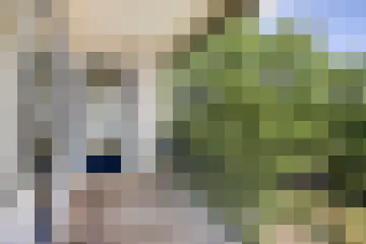 Welschapsedijk 71 Eindhoven thumbnail 12