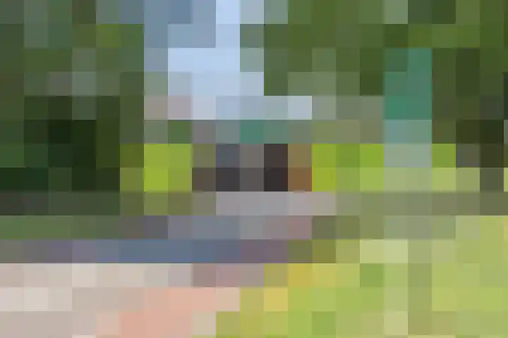 Welschapsedijk 71 Eindhoven thumbnail 25