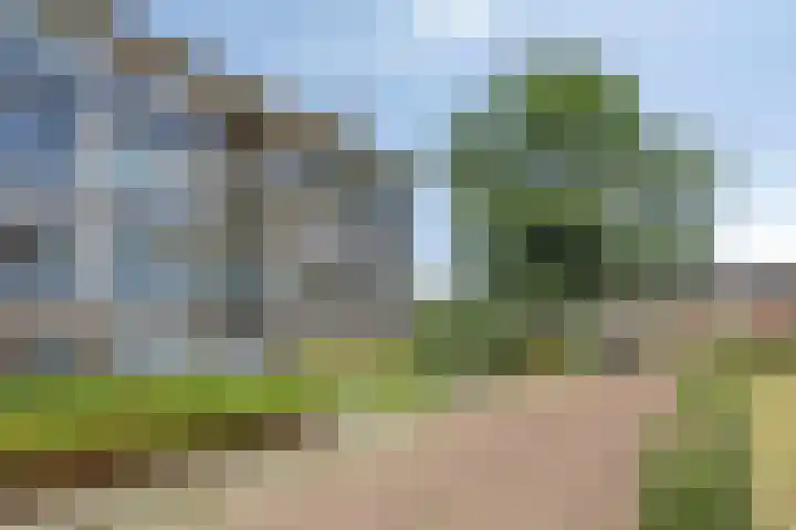 Welschapsedijk 71 Eindhoven thumbnail 28
