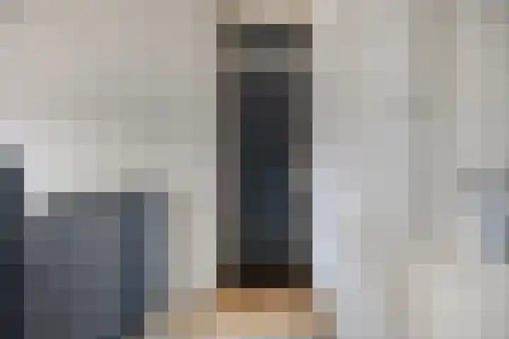 Welschapsedijk 71 Eindhoven thumbnail 7