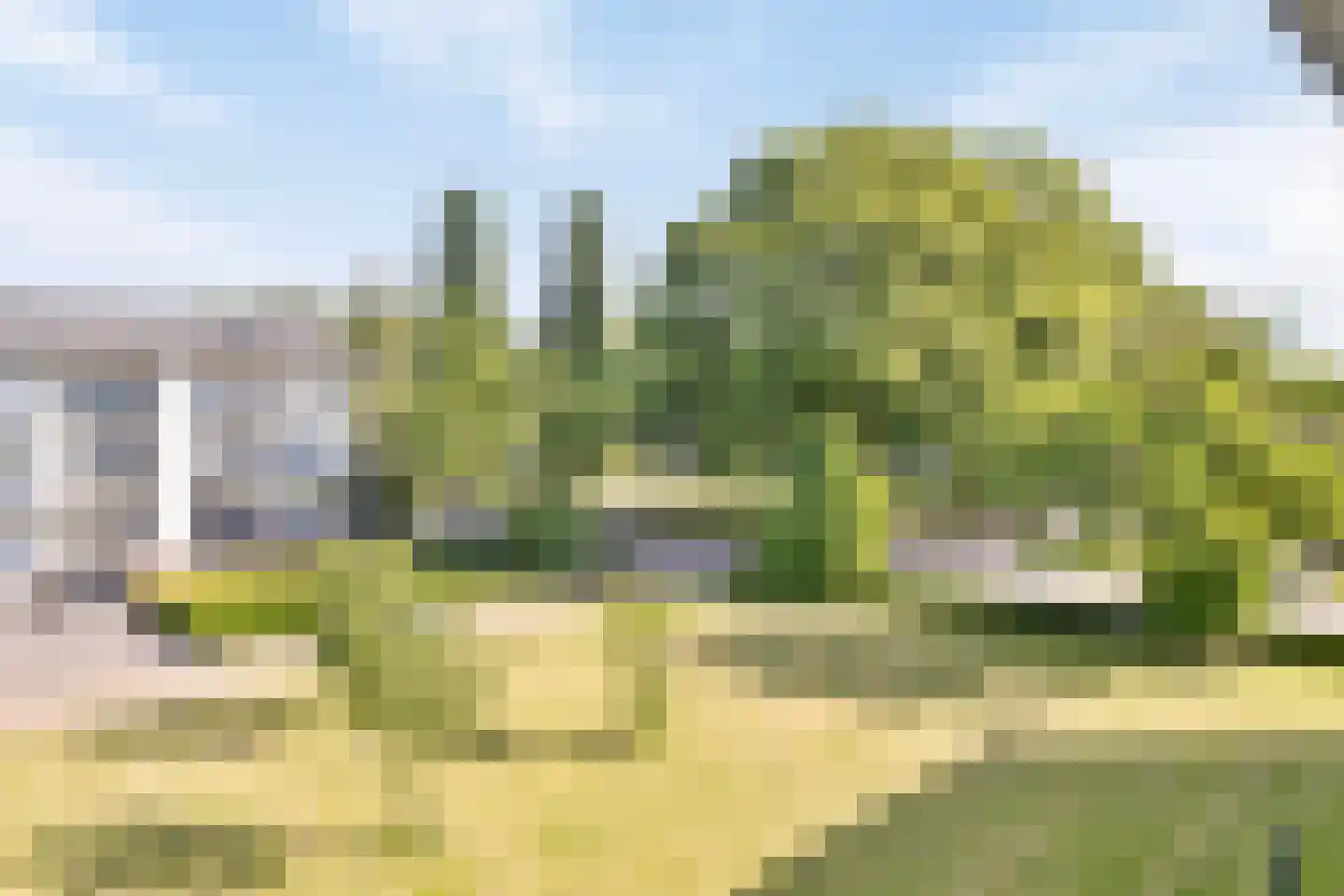 Welschapsedijk 93 Eindhoven thumbnail 20