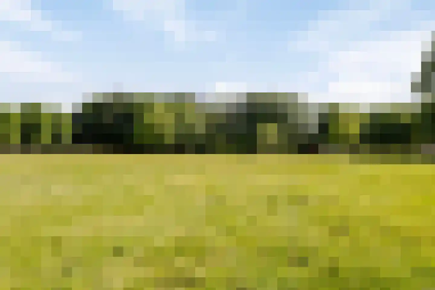 Welschapsedijk 93 Eindhoven thumbnail 21