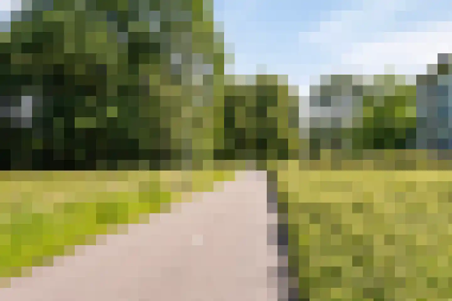Welschapsedijk 93 Eindhoven thumbnail 22