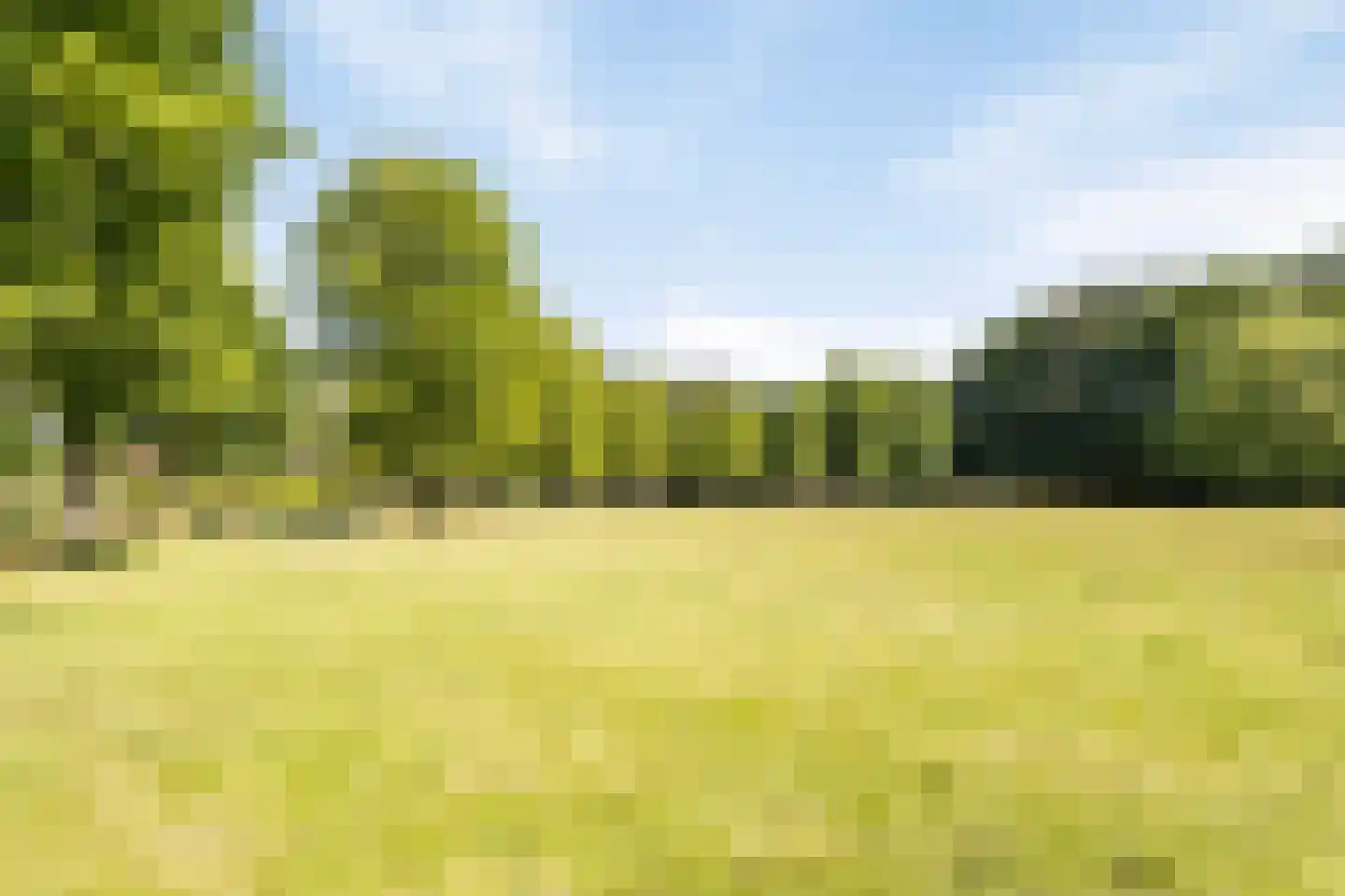 Welschapsedijk 93 Eindhoven thumbnail 23