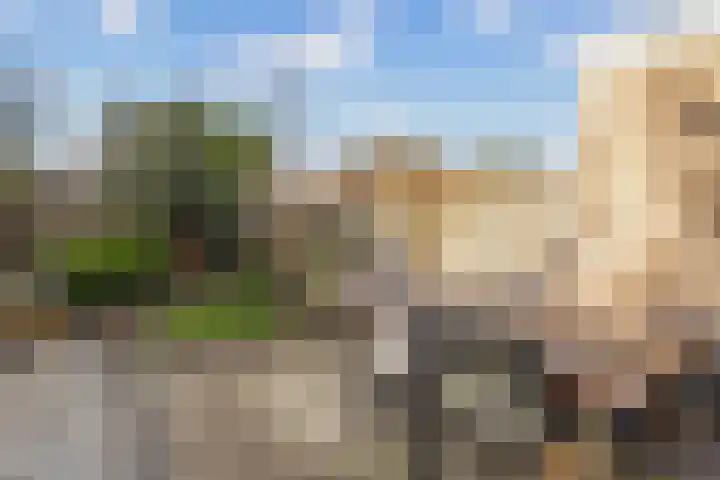 Welschapstraat 7 Badhoevedorp thumbnail 6