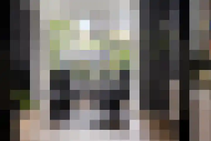 Welsumerlaan 24 Barneveld thumbnail 10