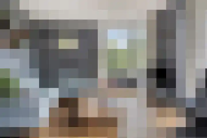 Welsumerlaan 24 Barneveld thumbnail 11