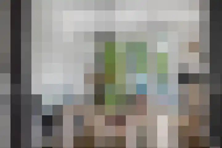 Welsumerlaan 24 Barneveld thumbnail 15