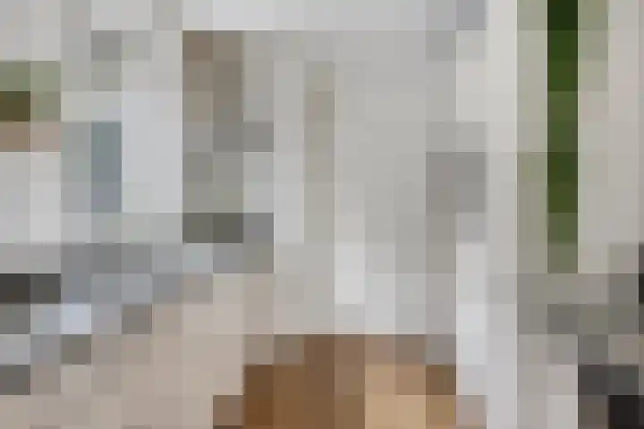 Welsumerlaan 24 Barneveld thumbnail 20