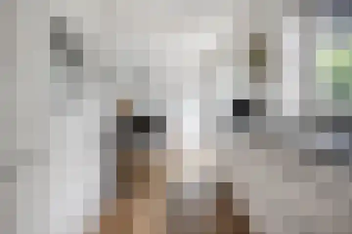 Welsumerlaan 24 Barneveld thumbnail 22