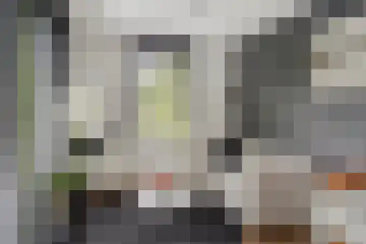 Welsumerlaan 24 Barneveld thumbnail 25