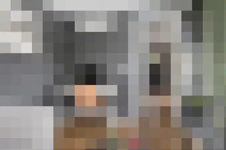 Welsumerlaan 24 Barneveld thumbnail 26