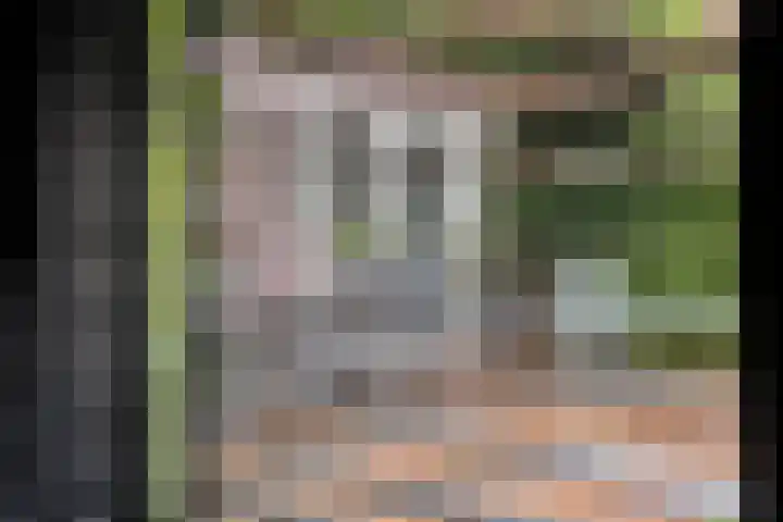 Welsumerlaan 24 Barneveld thumbnail 27