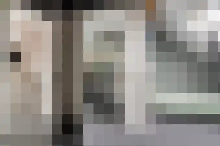 Welsumerlaan 24 Barneveld thumbnail 39