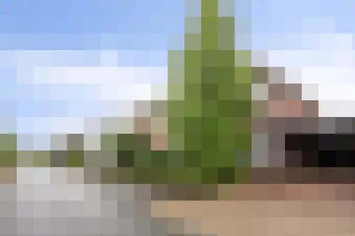 Welsumerlaan 24 Barneveld thumbnail 4