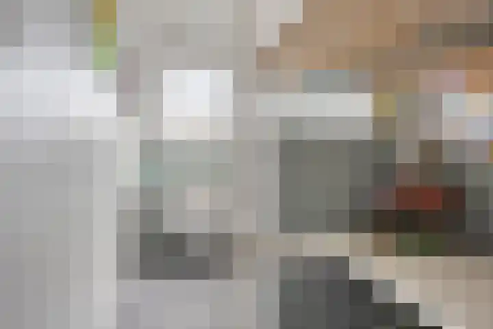 Welsumerlaan 24 Barneveld thumbnail 41