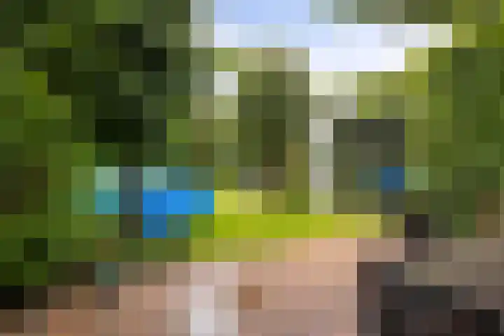 Welsumerlaan 24 Barneveld thumbnail 42