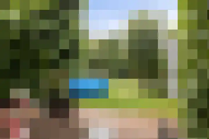 Welsumerlaan 24 Barneveld thumbnail 43