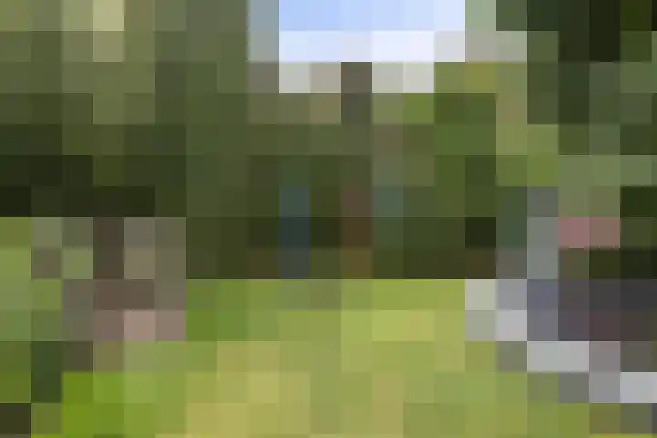 Welsumerlaan 24 Barneveld thumbnail 44