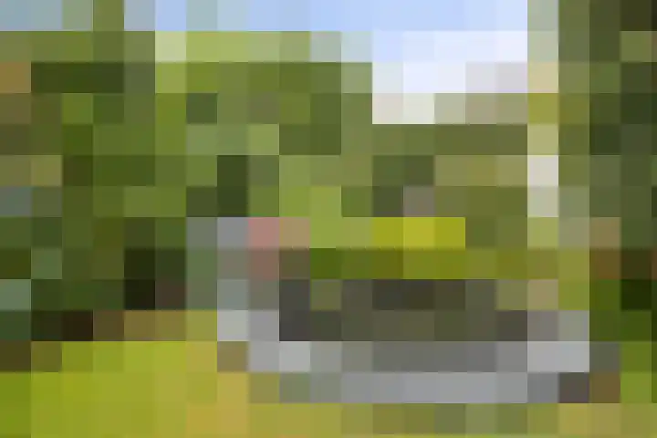 Welsumerlaan 24 Barneveld thumbnail 45