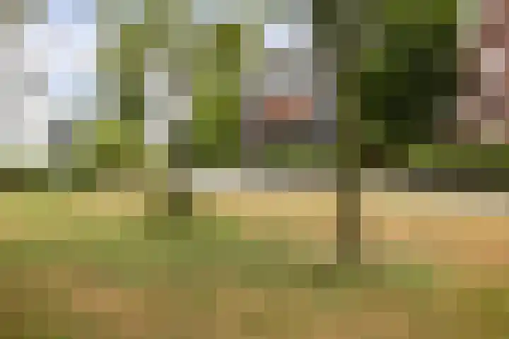 Welsumerlaan 24 Barneveld thumbnail 48