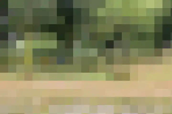 Welsumerlaan 24 Barneveld thumbnail 50