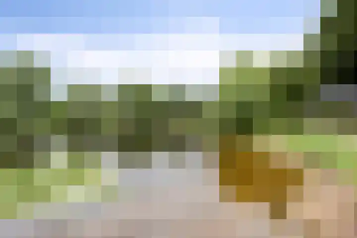 Welsumerlaan 24 Barneveld thumbnail 51
