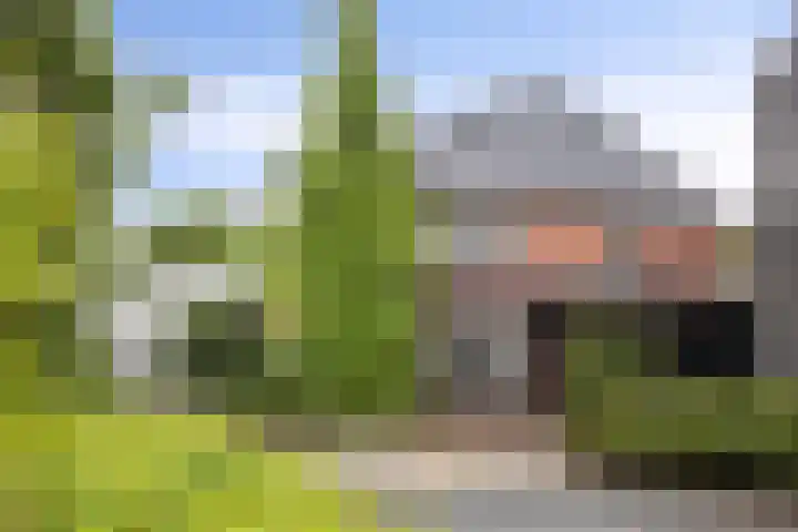 Welsumerlaan 24 Barneveld thumbnail 55